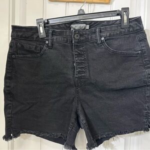 Torrid Black Denim Shorts with Branded Button